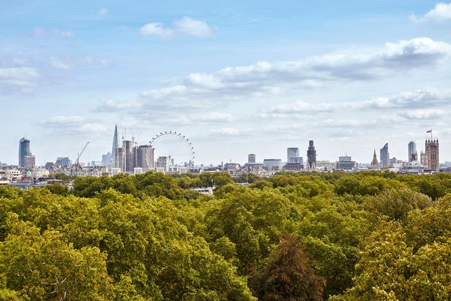 Sheraton Grand London Park Lane, photo 4
