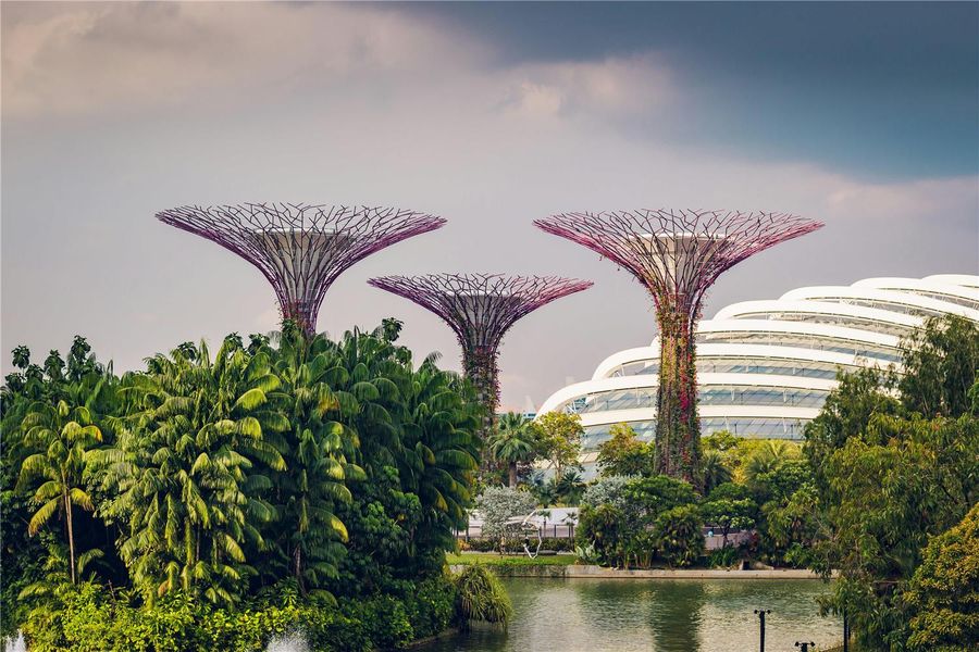 Conrad Singapore Marina Bay, photo 6
