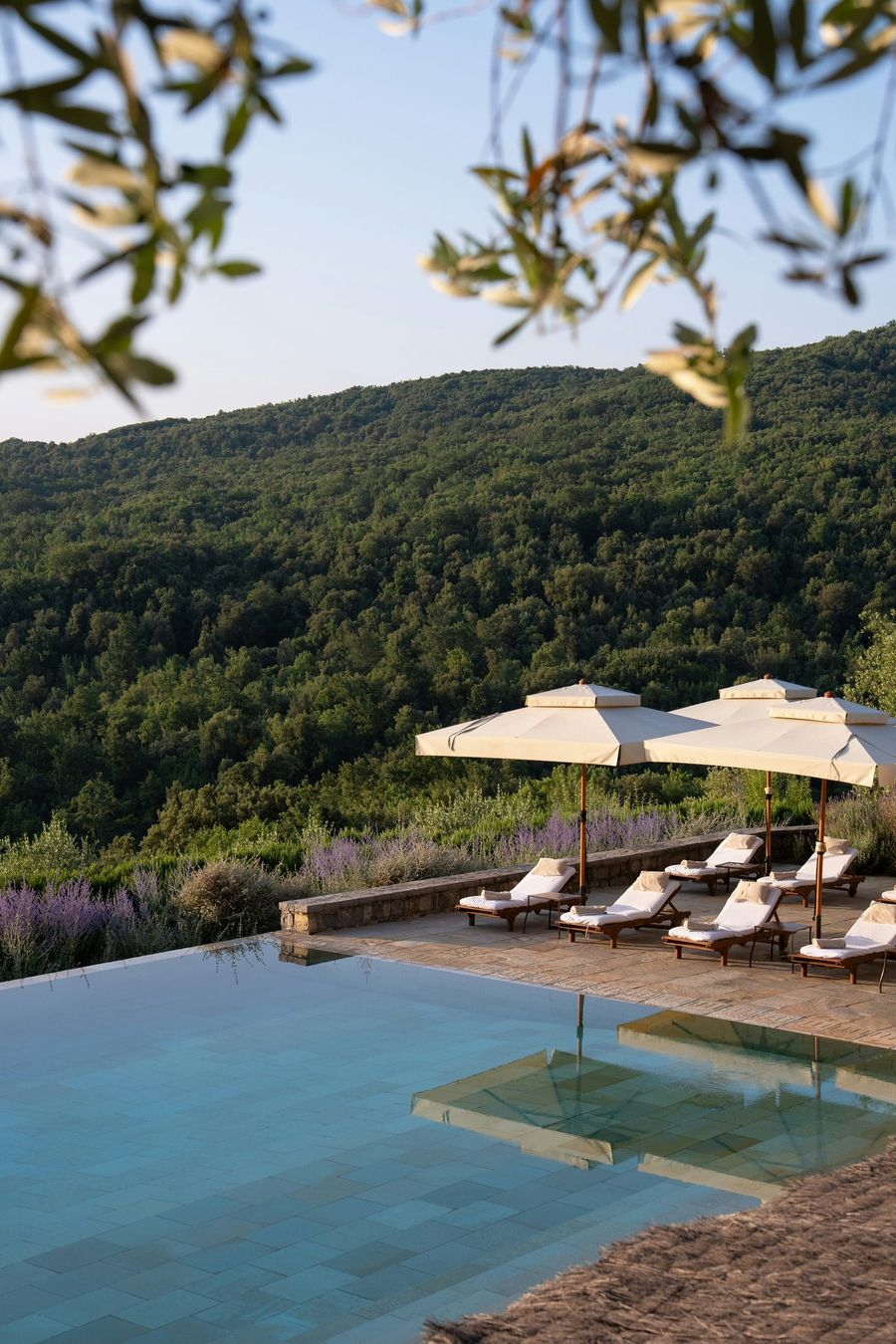 Rosewood Castiglion del Bosco, photo 4