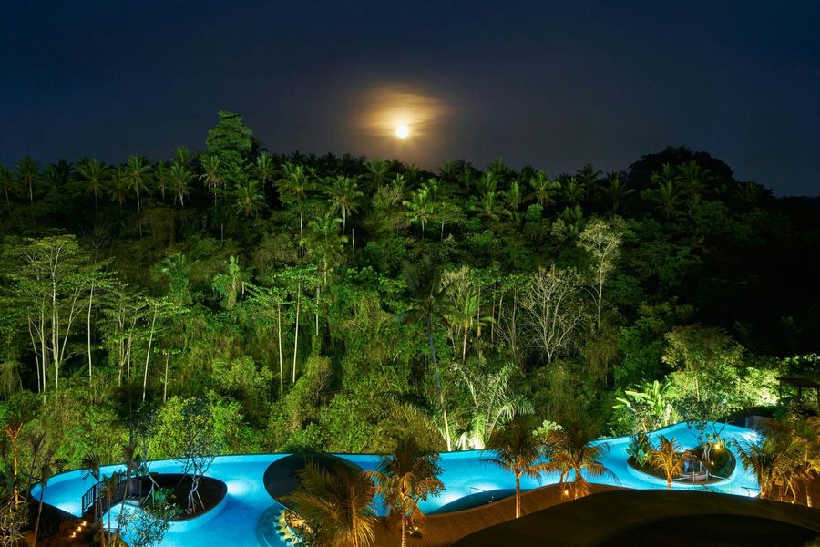 The Westin Resort & Spa Ubud, Bali, photo 3