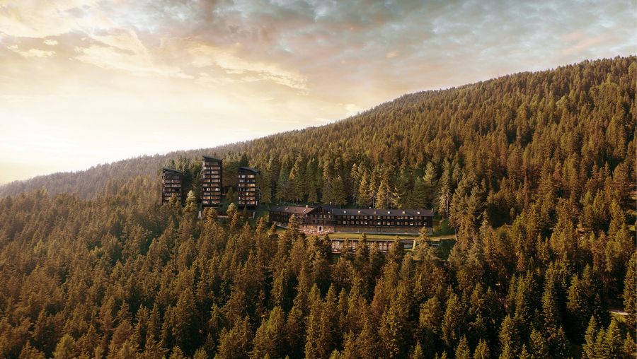 Forestis, photo 2