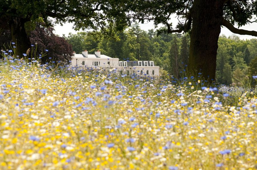 Coworth Park, photo 5