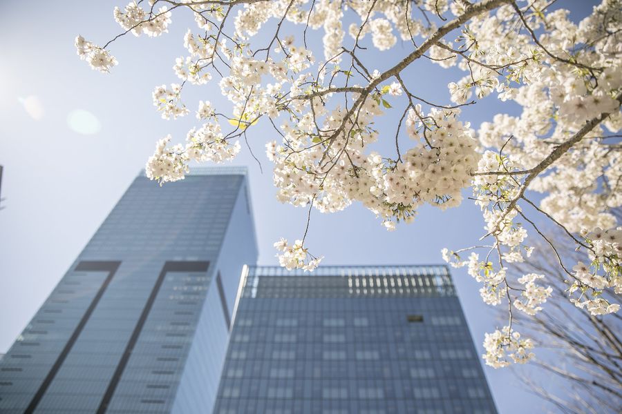 The Okura Tokyo, photo 4